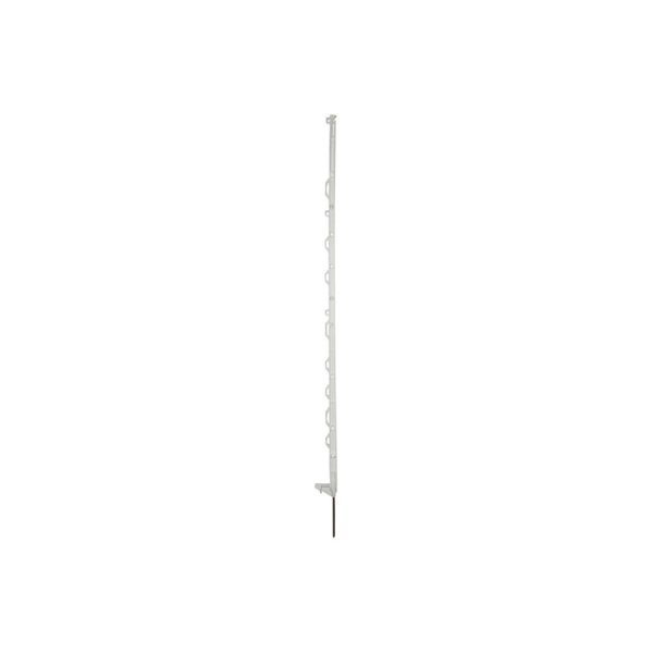 RANGER paal wit 138cm met 12 ogen