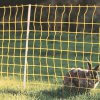 Konijnennet 50m 50cm enkel pen - Afbeelding 3