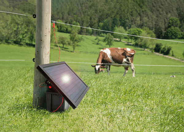 Ranger AS180 op zonne-energie (2,5 Joule) - Afbeelding 4
