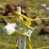 Schapennet Horinet 120cm, 50m; met dubbele pen (wolf afweer) - Afbeelding 9