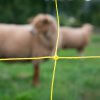 Schapennet Turbomax VERTIKAAL 90 cm dubbele pen 50m - Afbeelding 4
