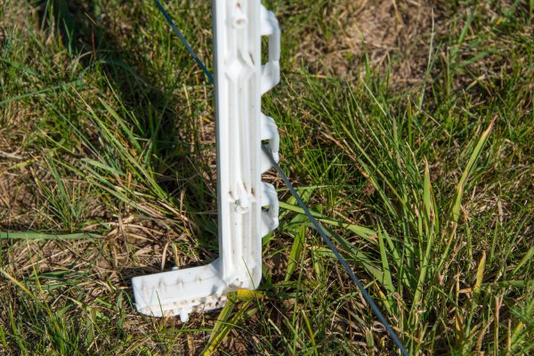 RANGER paal wit 138cm met 12 ogen - Afbeelding 5