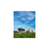 Farmer AS140 - Afbeelding 5