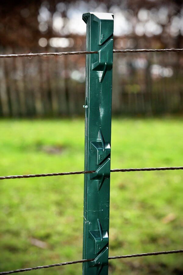 Horizont Startset Hond / Kat - Afbeelding 4