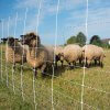 Schapennet Turbomax 105 cm dubbele pen 50m - Afbeelding 4