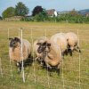 Schapennet Turbomax 105 cm dubbele pen 50m - Afbeelding 6