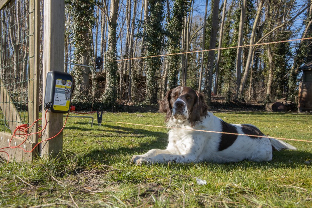 Horizont voor dieren Horizont Afrastering