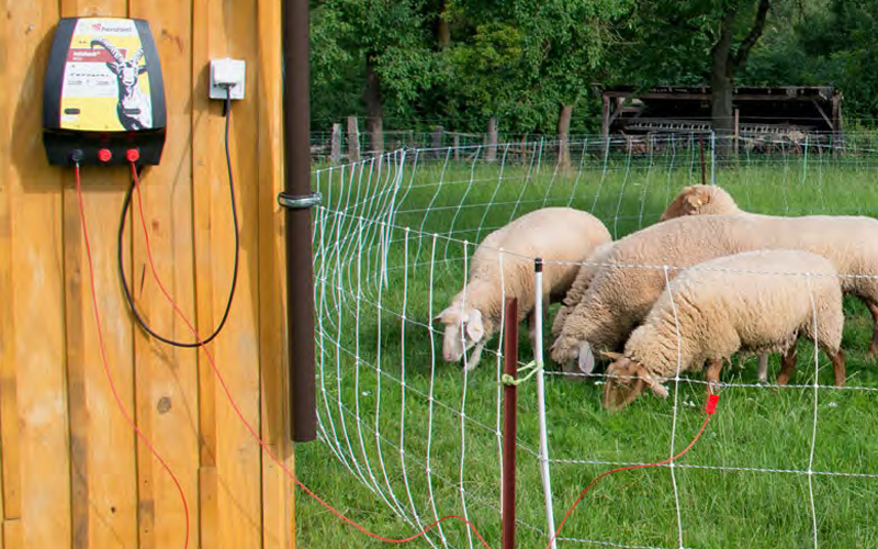 terugtrekken kunstmest naald Horizont afrastering voor Schapen - Horizont Afrastering